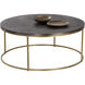 Enya 40 X 17 inch Gunmetal / Brass Coffee Table